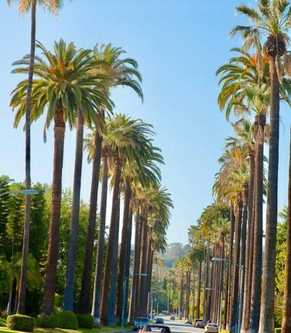 Designer 2 Bedroom Apt Beverly Hills-Rodeo Drive Los Angeles Exterior photo